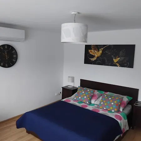 公寓 Apartament/pietro Domu 哈日科维