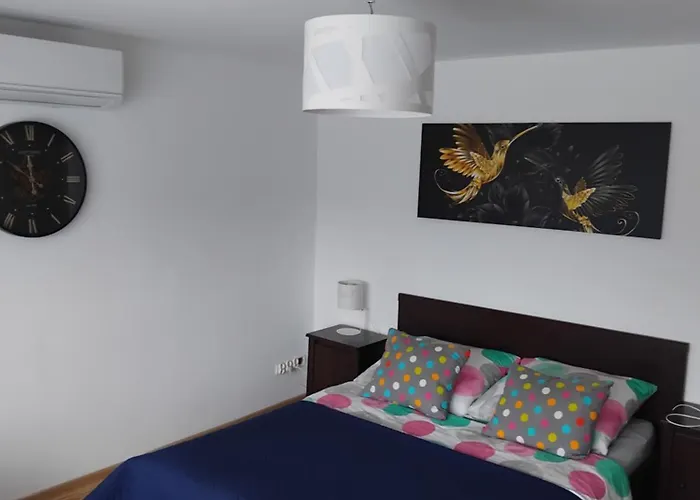 Appartement Apartament/pietro Domu Charzykowy